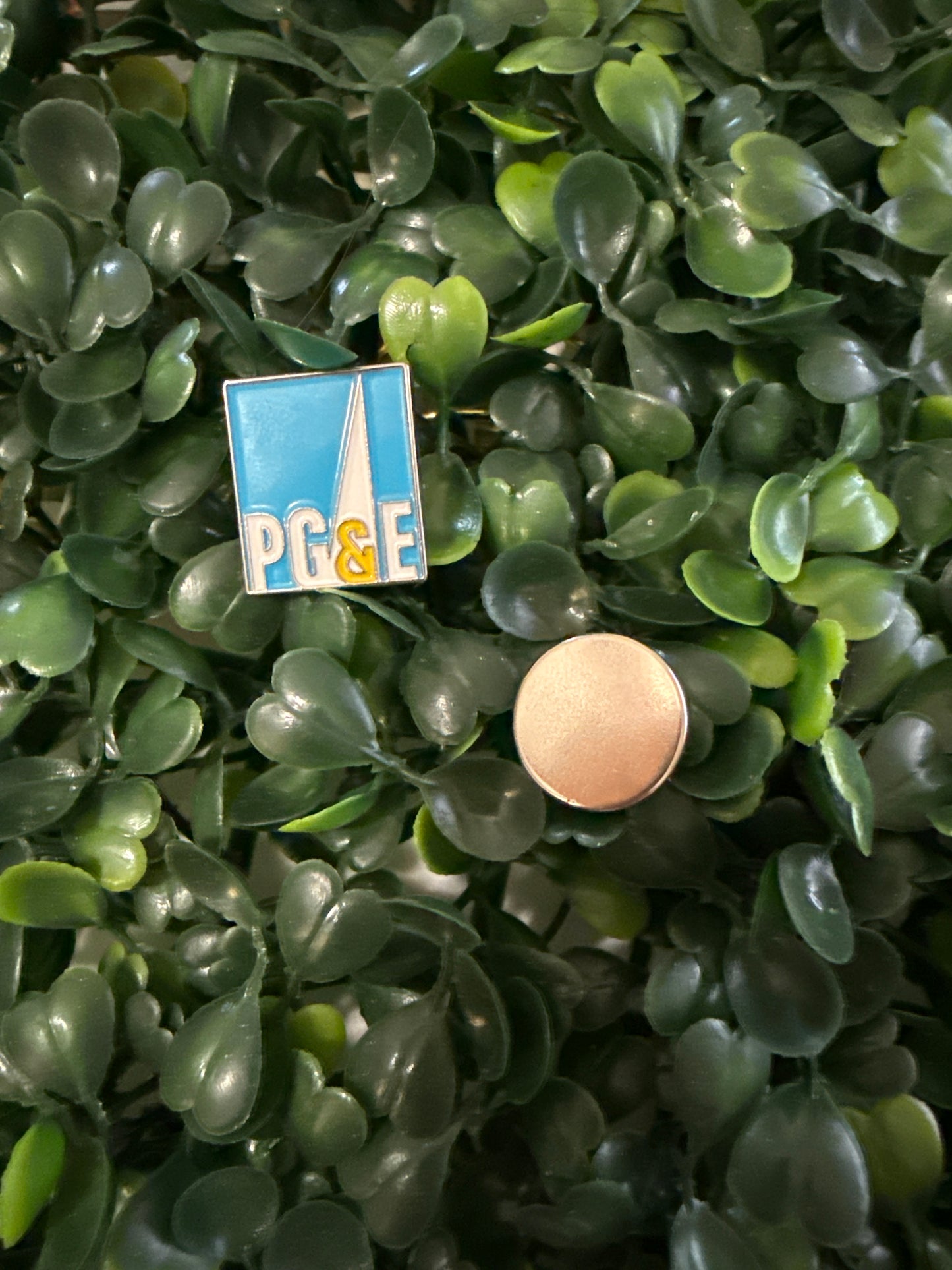 Lapel Pin, Pins Magnetic Version
