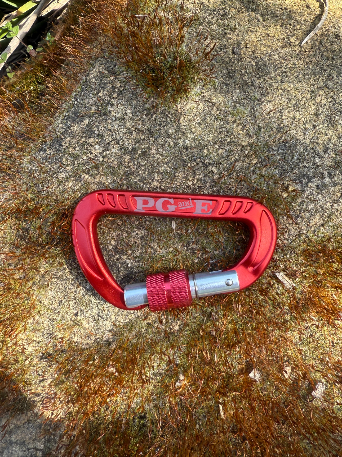 Carabiner with Lock