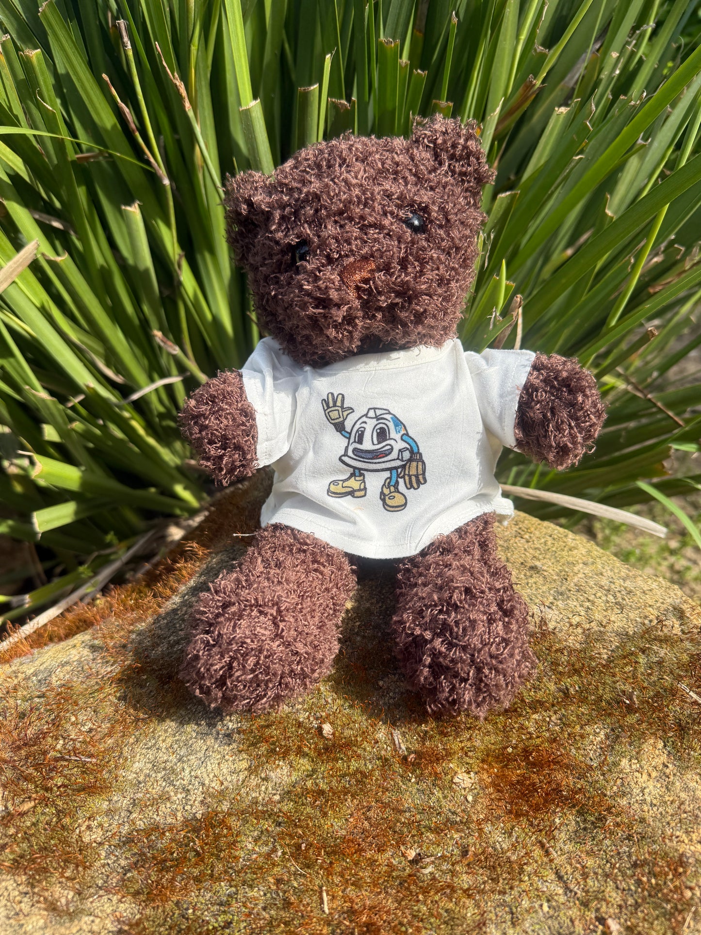 Teddy Bear