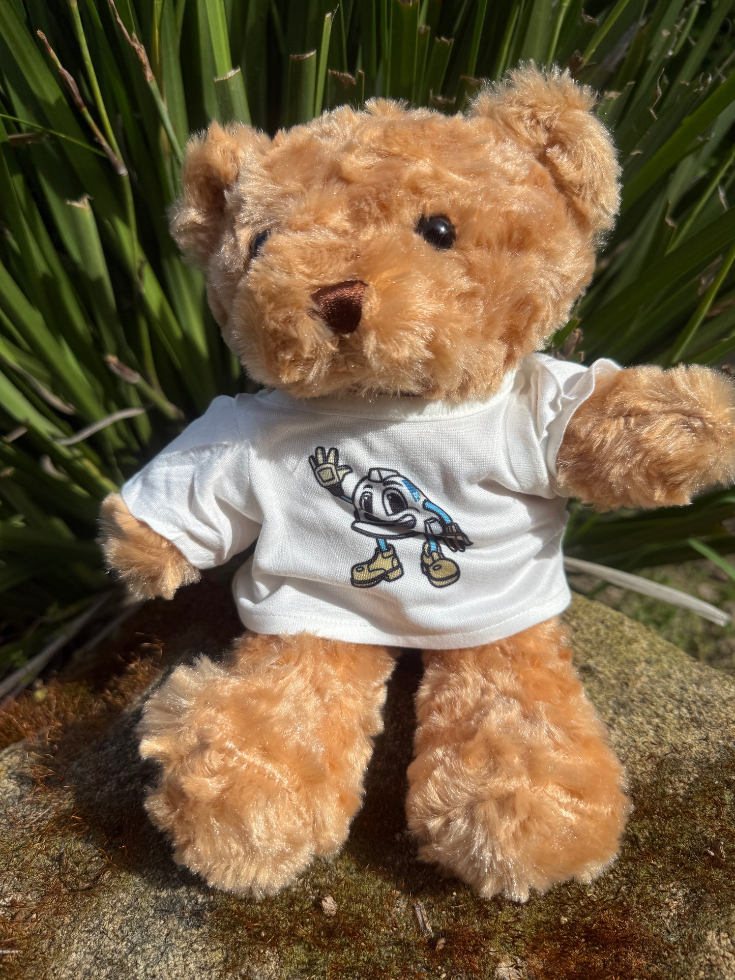 Teddy Bear