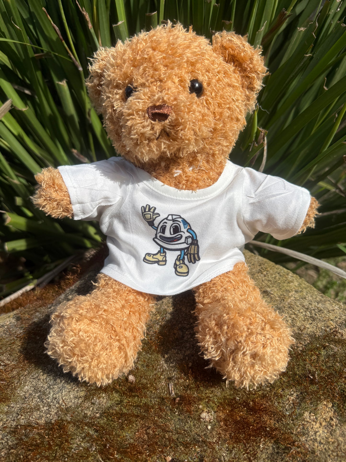Teddy Bear
