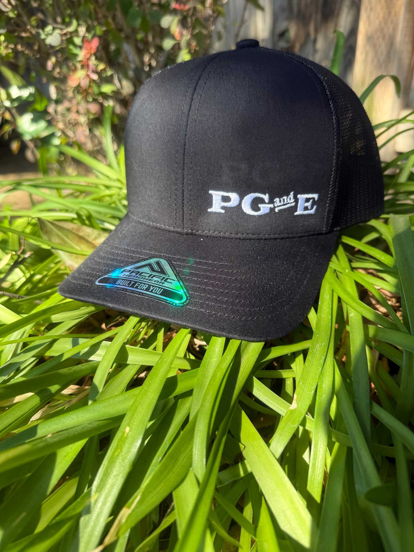 Pacific Sunwear Corner Logo