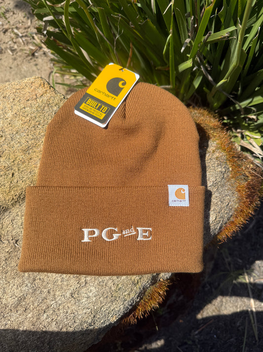 CT104597 Carhartt Beanie