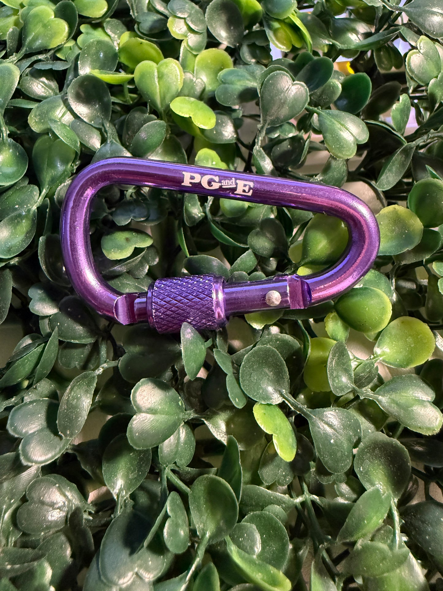 Locking Carabiner with Lock