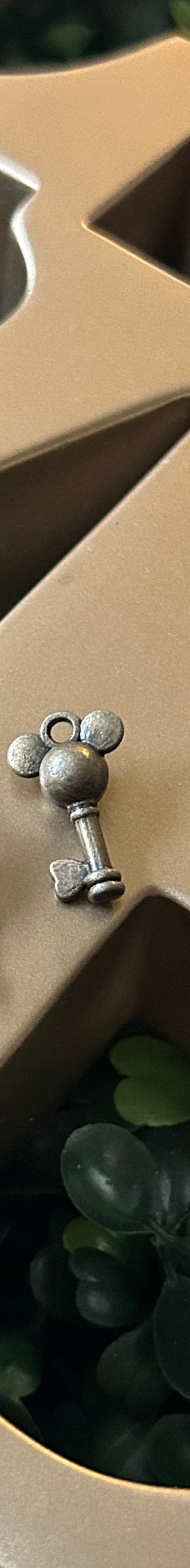 Mini Mickey Keys